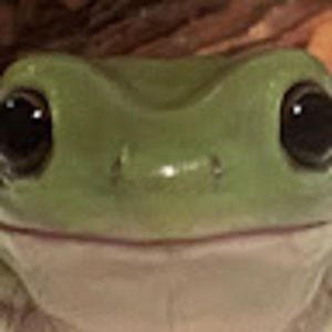 Meet your Posher, Joya